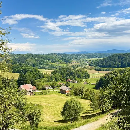 別荘 House David *