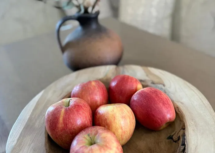 Vakantiehuis House David *