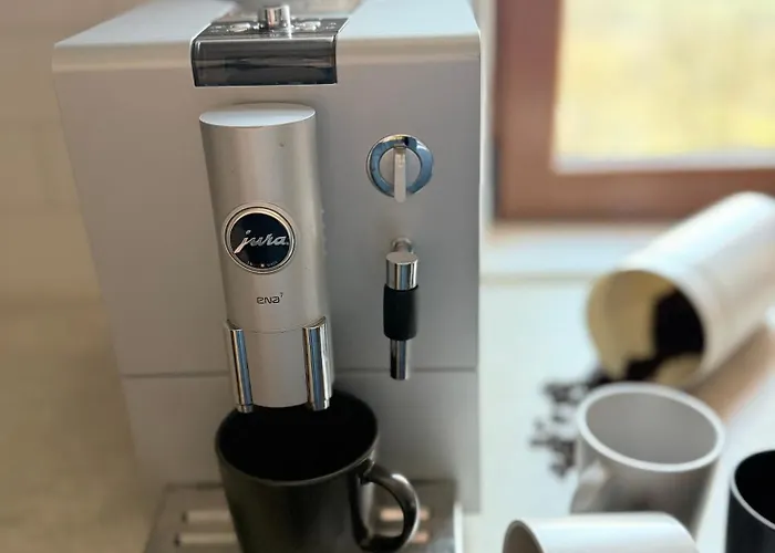 House David * ポドチェトルテク