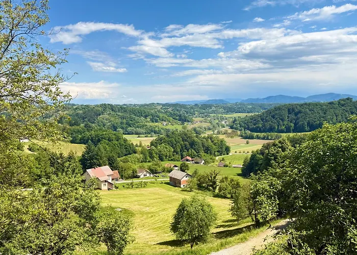 別荘 House David *